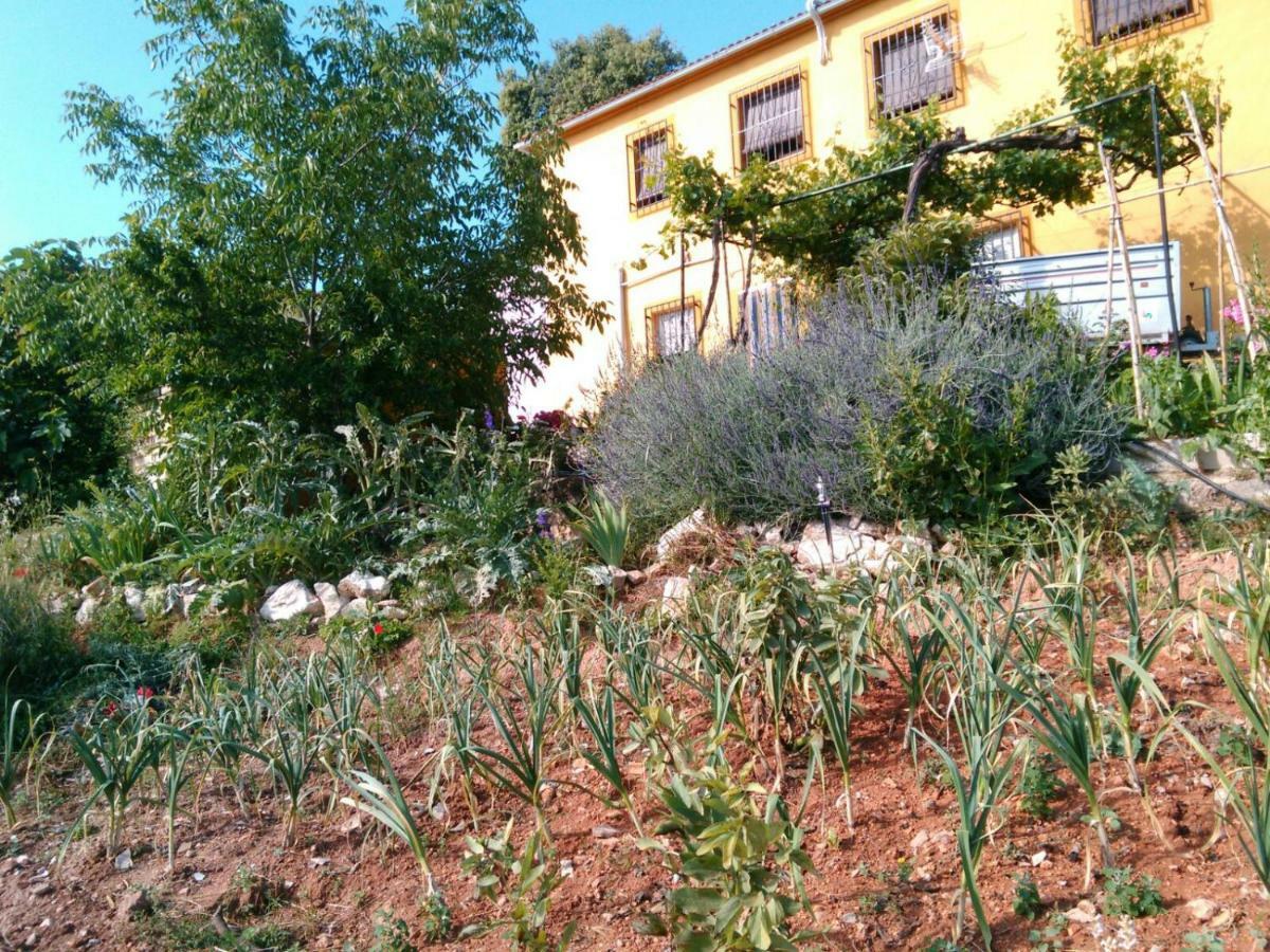 فيلا Cortijo De La Cruz Iznájar المظهر الخارجي الصورة